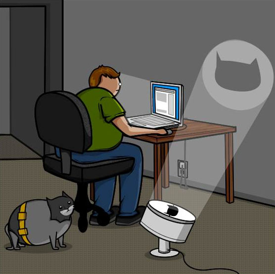 Кот и интернет