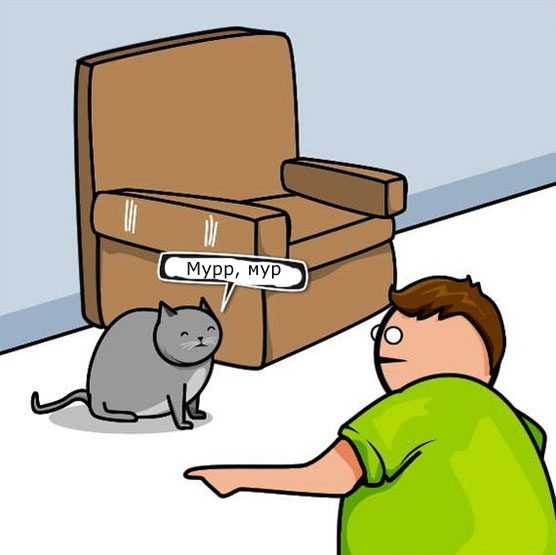 Кот и интернет