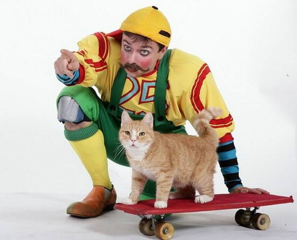 Цирковые коты